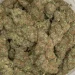 sherb cream pie strain macro closeuo