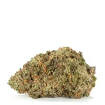shishkaberry strain