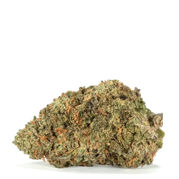 shishkaberry strain