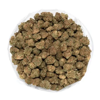 skunk-dawg-marijuana-buds