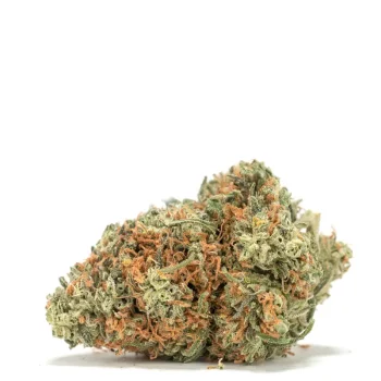snow-white-strain