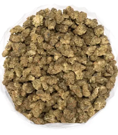 sour-tahoe-strain-1lb-photo