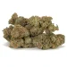 sticky-buns-strain-buds-clustered-in-a-sticky-pile-showcasing-resinous-trichomes