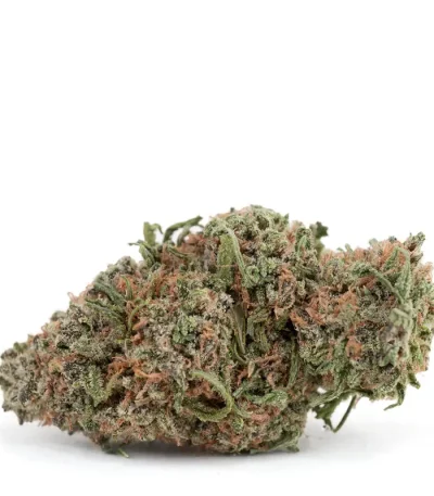 strawberry-fields-strain