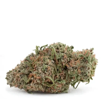 strawberry-fields-strain