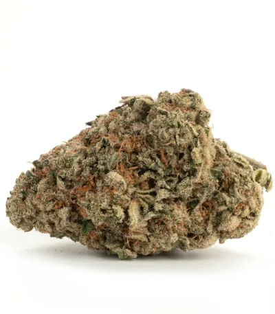 Single bud of Sundae Driver strain