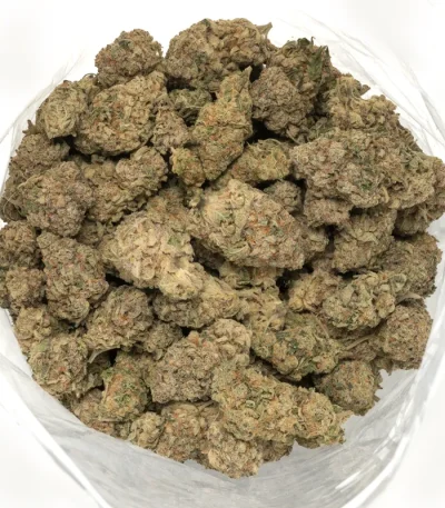 Sundae Driver hybrid cannabis buds in a group, displaying their striking appearance with bright orange pistils and frosty trichomes