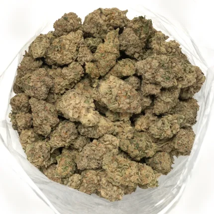 Sundae Driver hybrid cannabis buds in a group, displaying their striking appearance with bright orange pistils and frosty trichomes