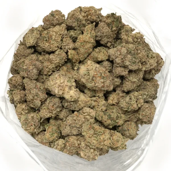 Sundae Driver hybrid cannabis buds in a group, displaying their striking appearance with bright orange pistils and frosty trichomes