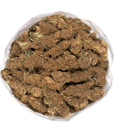 sweet-berry-kush-bag-of-vibrant-buds