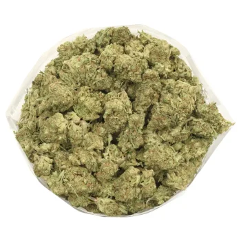 Tangerine Dream strain bulk
