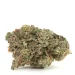 tom ford pink kush