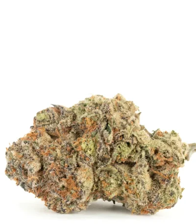 tropic-thunder-strain