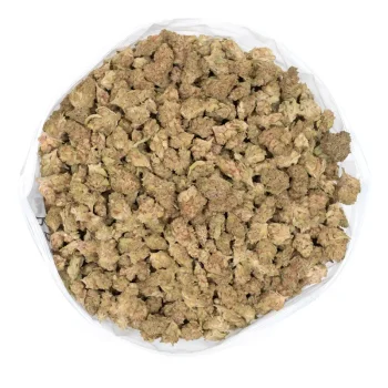 tropical-punch marijuana buds in bag overhead view
