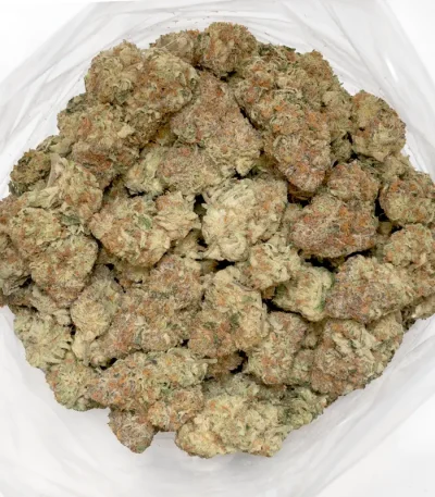 tropical-z-weed-strain-marijuana-buds