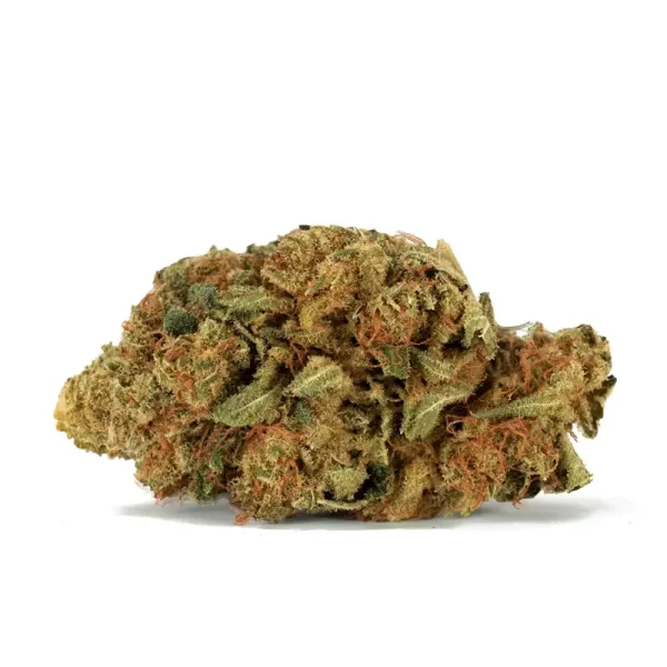 violator-kush-strain