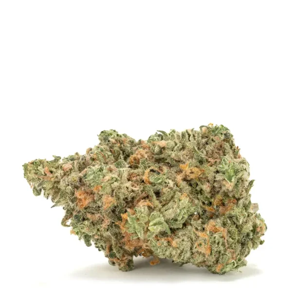 watermelon gushers strain