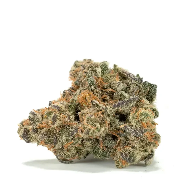 white-truffle-strain