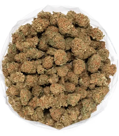 zoap-cannabis-strain-sticky-buds